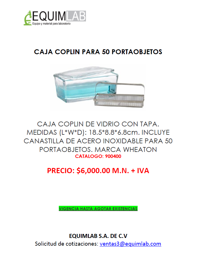 caja coplin de vidrio con tapa.
